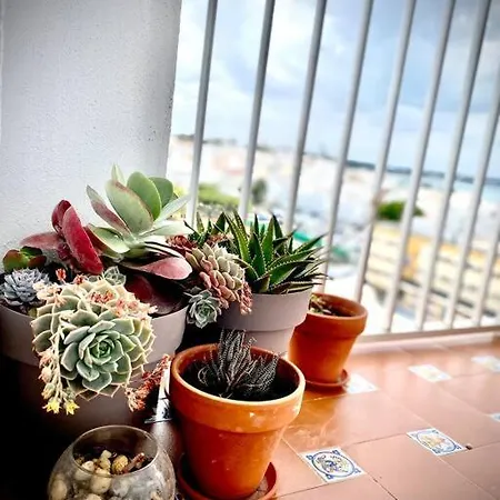 Mychoice America Apartment